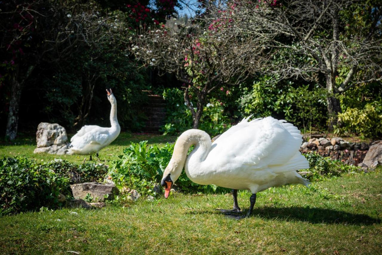 Quinta De Mouraes Casa Dos Rododendros Guest House Lever ภายนอก รูปภาพ