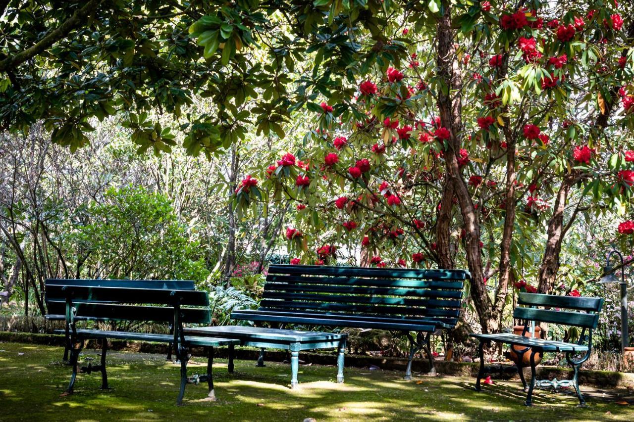 Quinta De Mouraes Casa Dos Rododendros Guest House Lever ภายนอก รูปภาพ