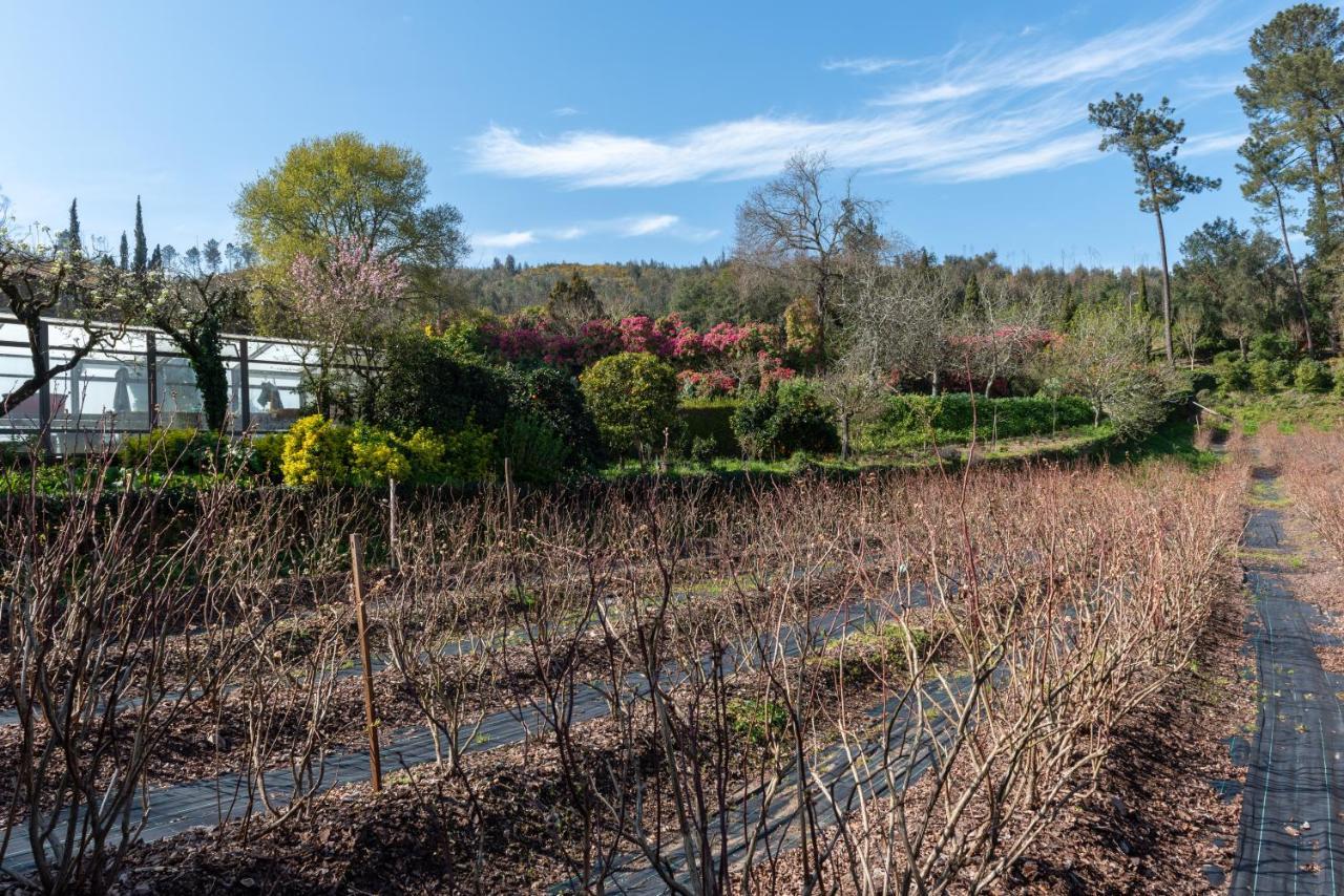 Quinta De Mouraes Casa Dos Rododendros Guest House Lever ภายนอก รูปภาพ