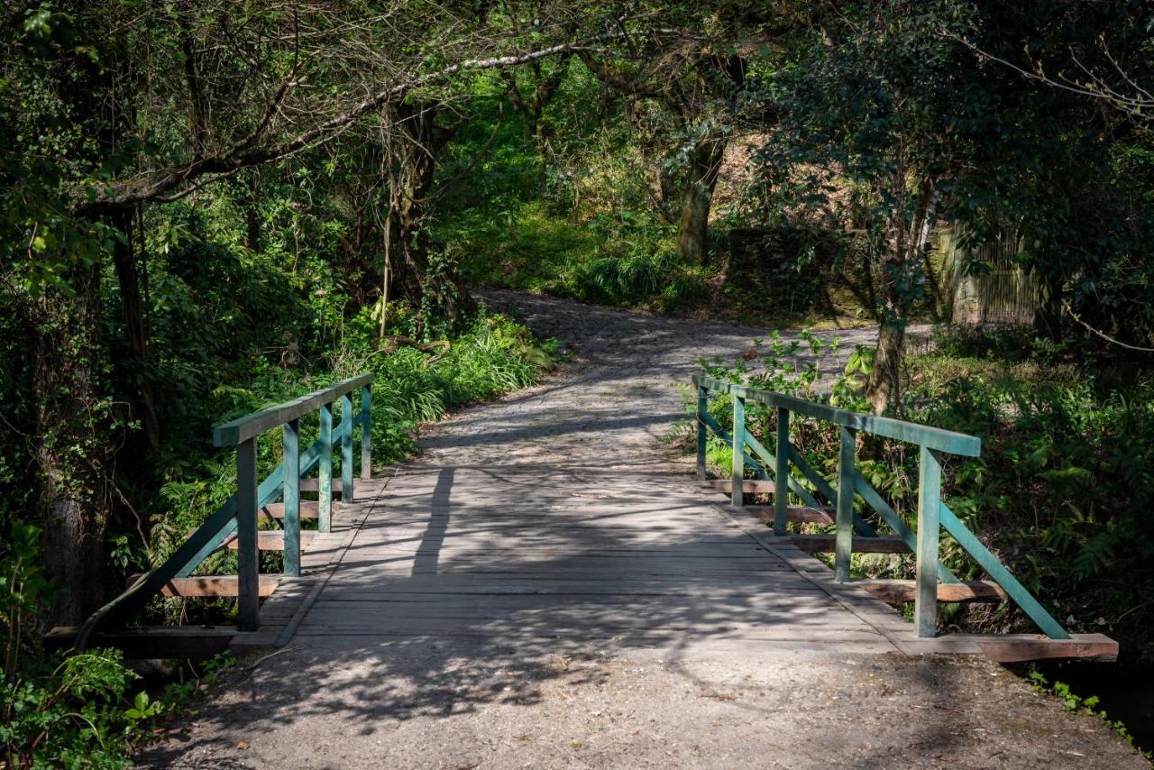 Quinta De Mouraes Casa Dos Rododendros Guest House Lever ภายนอก รูปภาพ