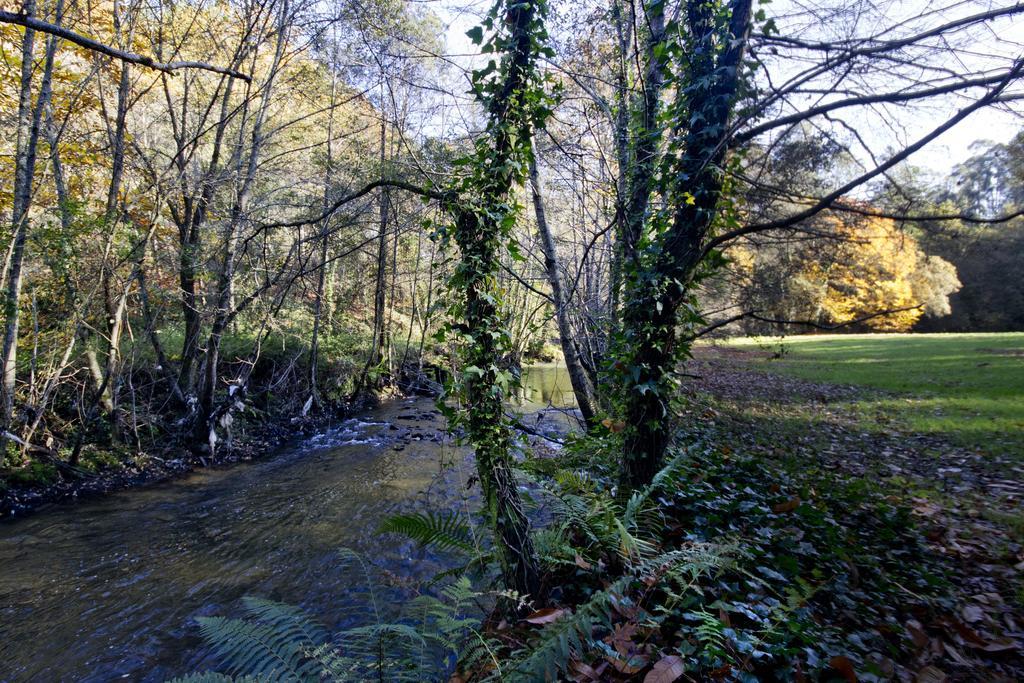 Quinta De Mouraes Casa Dos Rododendros Guest House Lever ภายนอก รูปภาพ