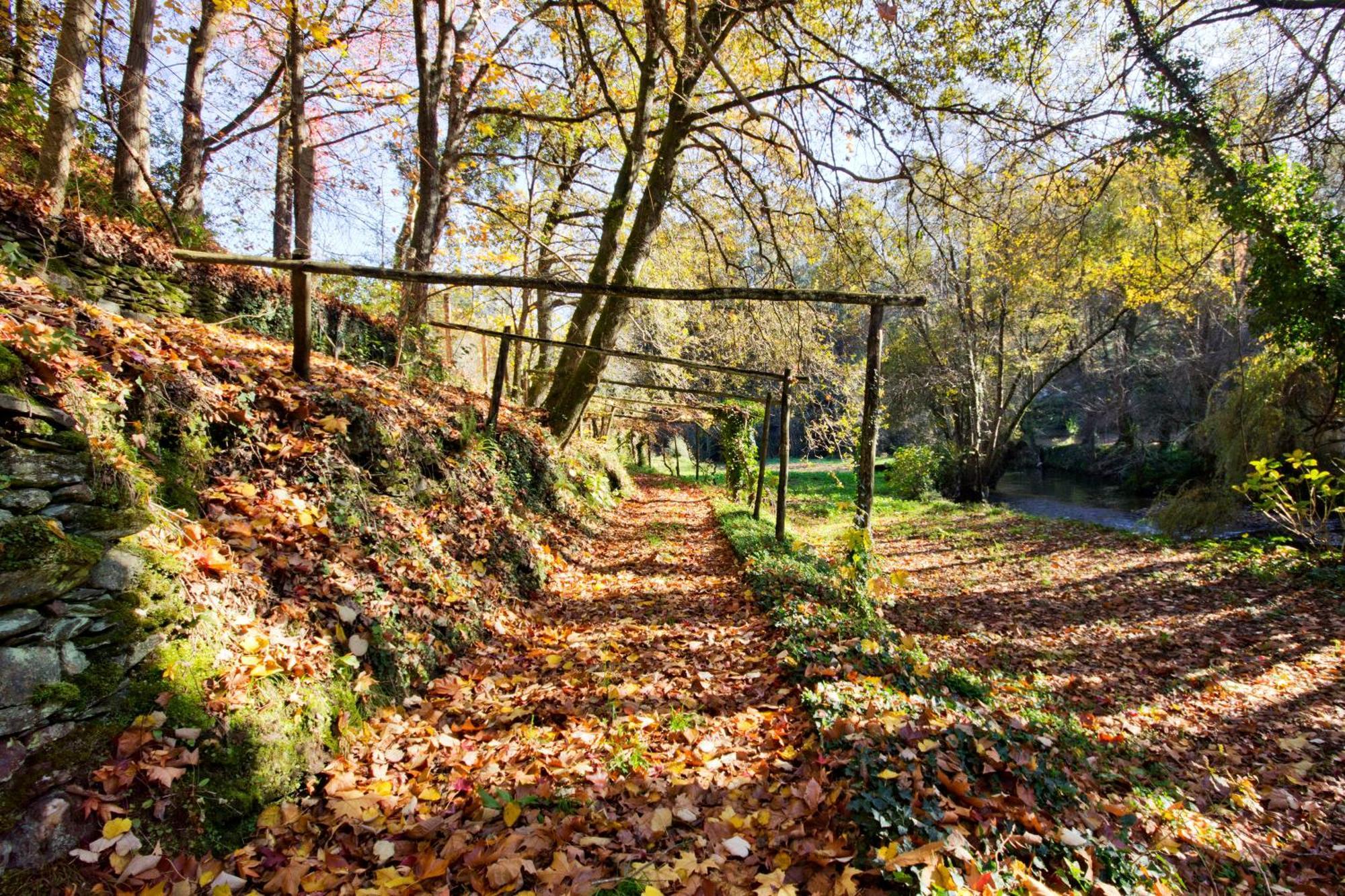Quinta De Mouraes Casa Dos Rododendros Guest House Lever ภายนอก รูปภาพ
